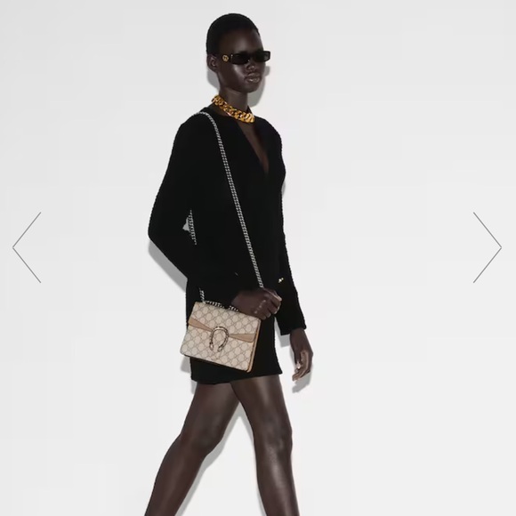 GG Supreme Monogram Mini Dionysus Shoulder Bag Taupe - Picture 10 of 12